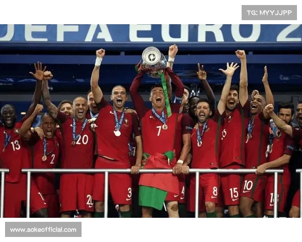 葡萄牙在世界杯预选赛中绝杀匈牙利 坎塞洛弧线球锁定胜局